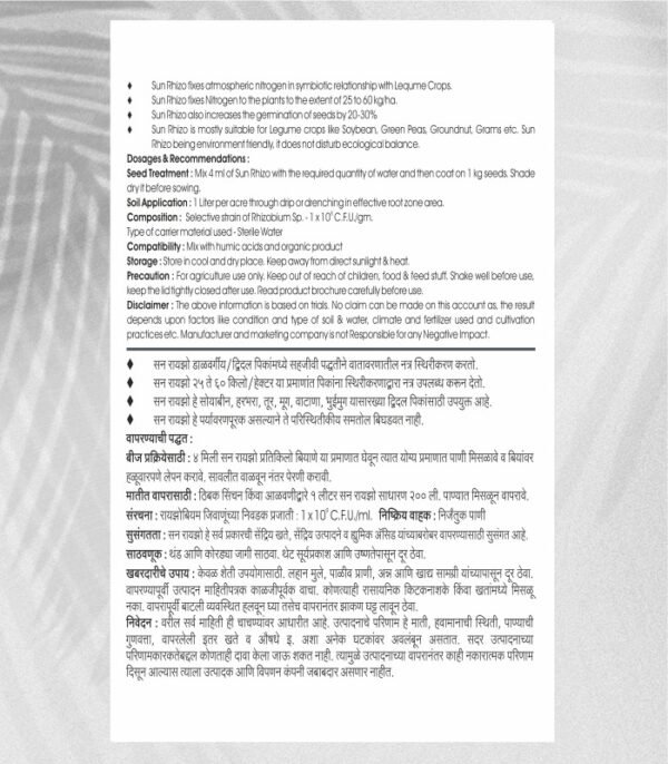 WhatsApp Image 2024-12-25 at 12.50.39 PM